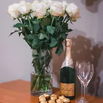Vilka Stefi *