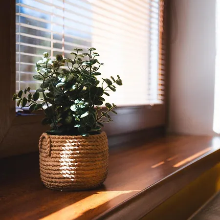 Séjour à la campagne Vilka Stefi